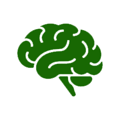 coaching-mental